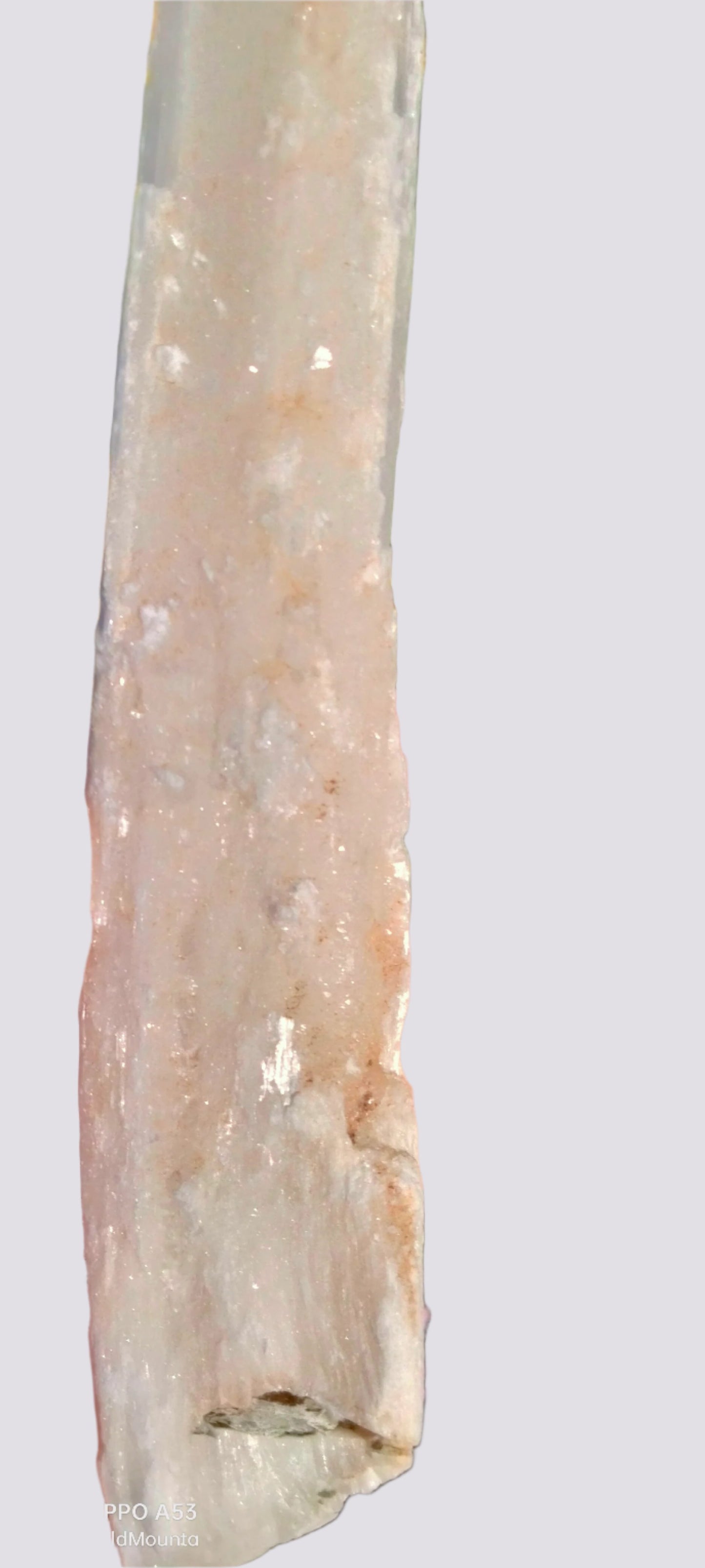 ✨Large 26cm Raw Selenite Wands – Unlock the Power of Clarity & Healing ✨