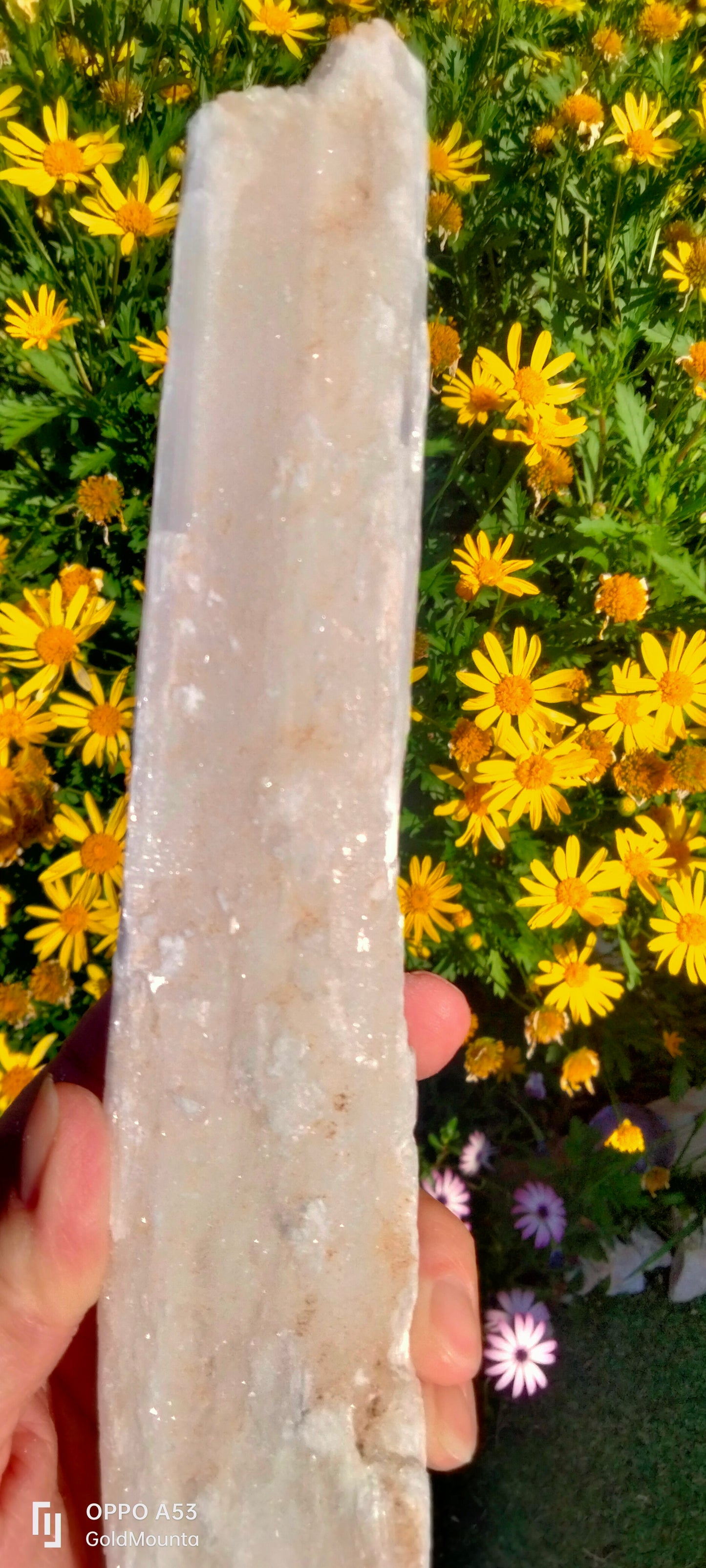 ✨Large 26cm Raw Selenite Wands – Unlock the Power of Clarity & Healing ✨