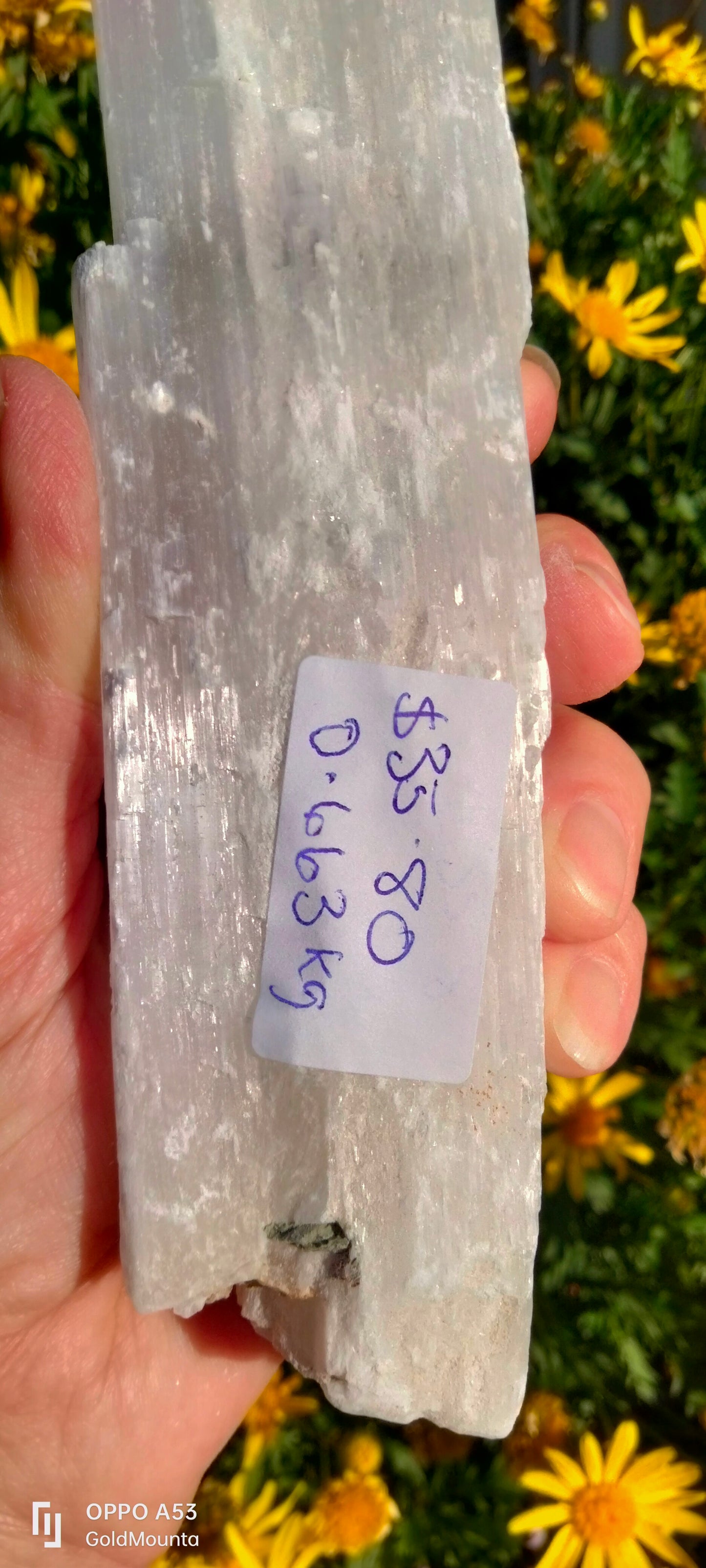 ✨Large 26cm Raw Selenite Wands – Unlock the Power of Clarity & Healing ✨