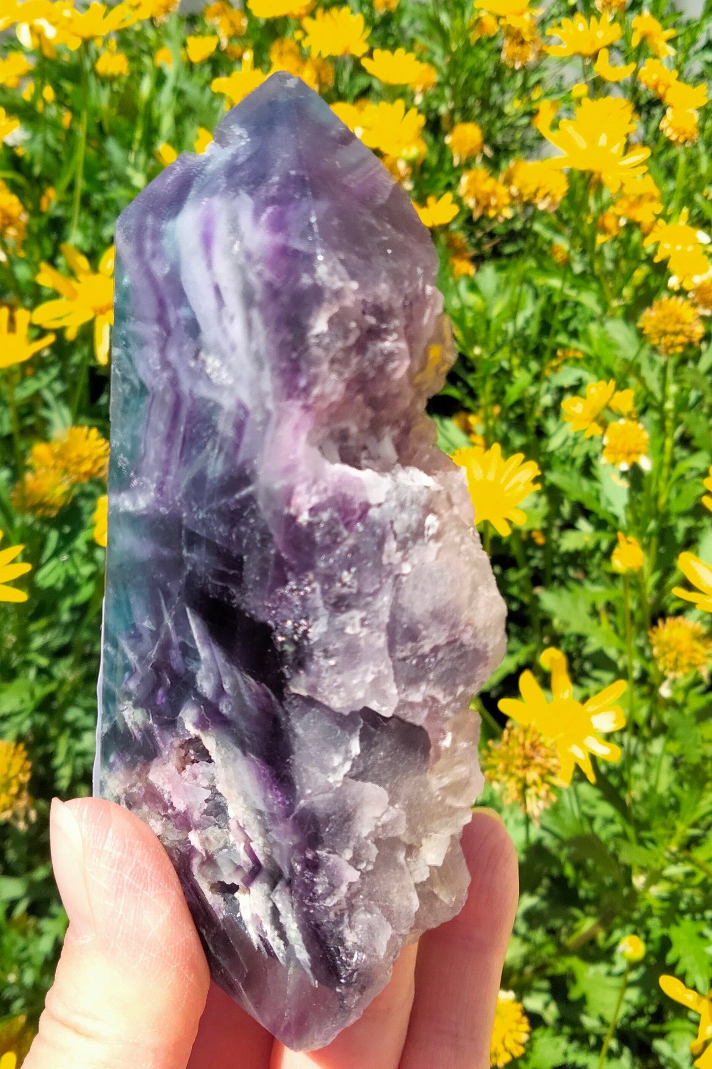 🌈 Rainbow White Feather Fluorite Raw & Polished Crystal 🌈