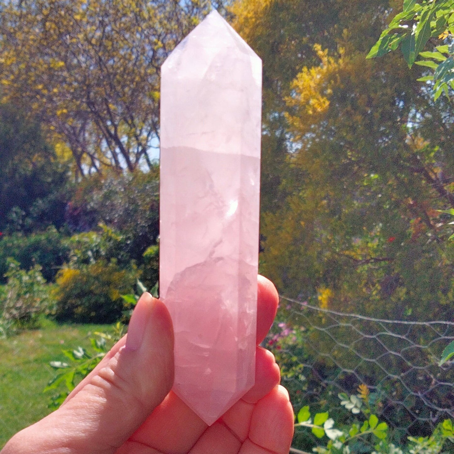 🌸 Double Terminated Rose Quartz with Rainbows 🌸