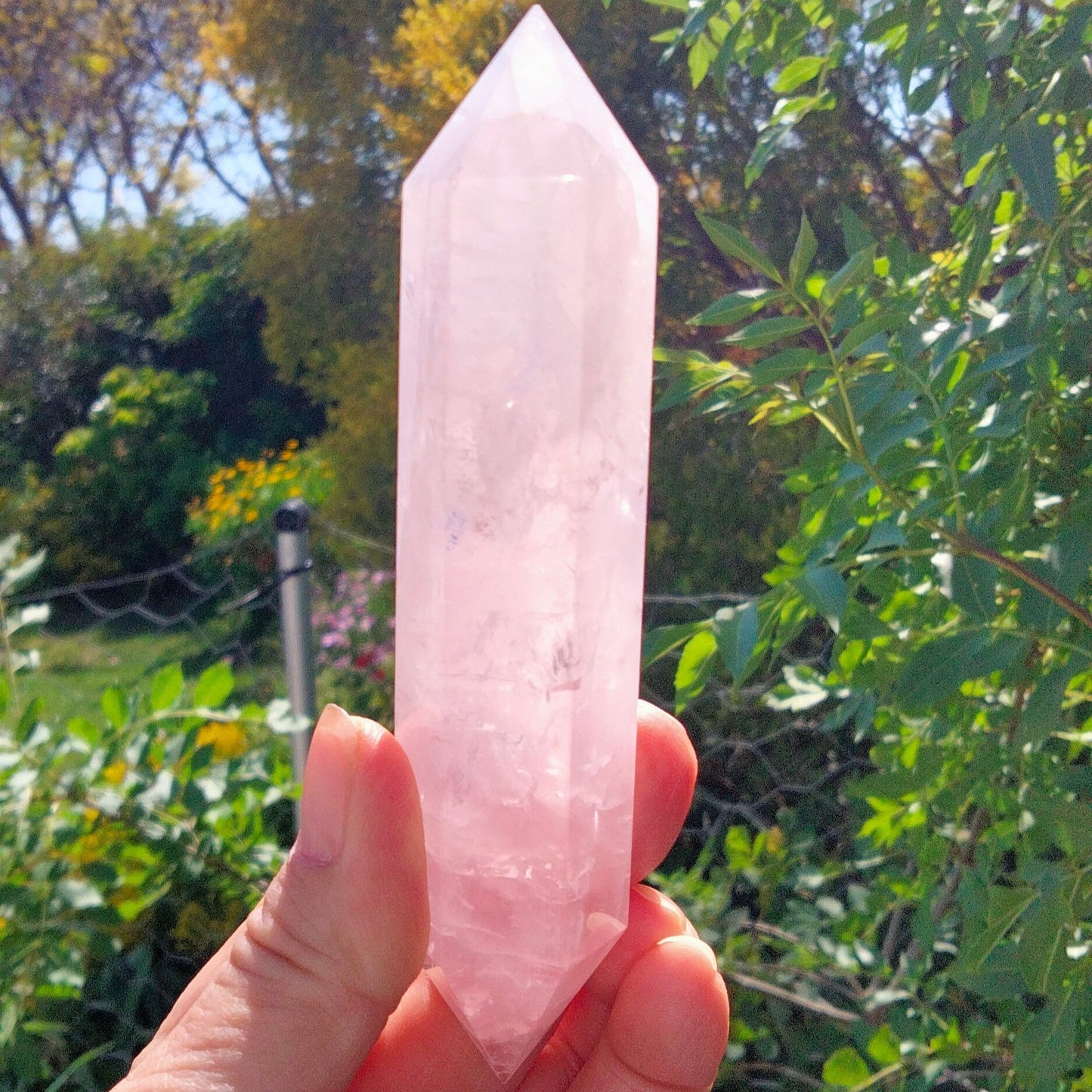 🌸 Double Terminated Rose Quartz with Rainbows 🌸