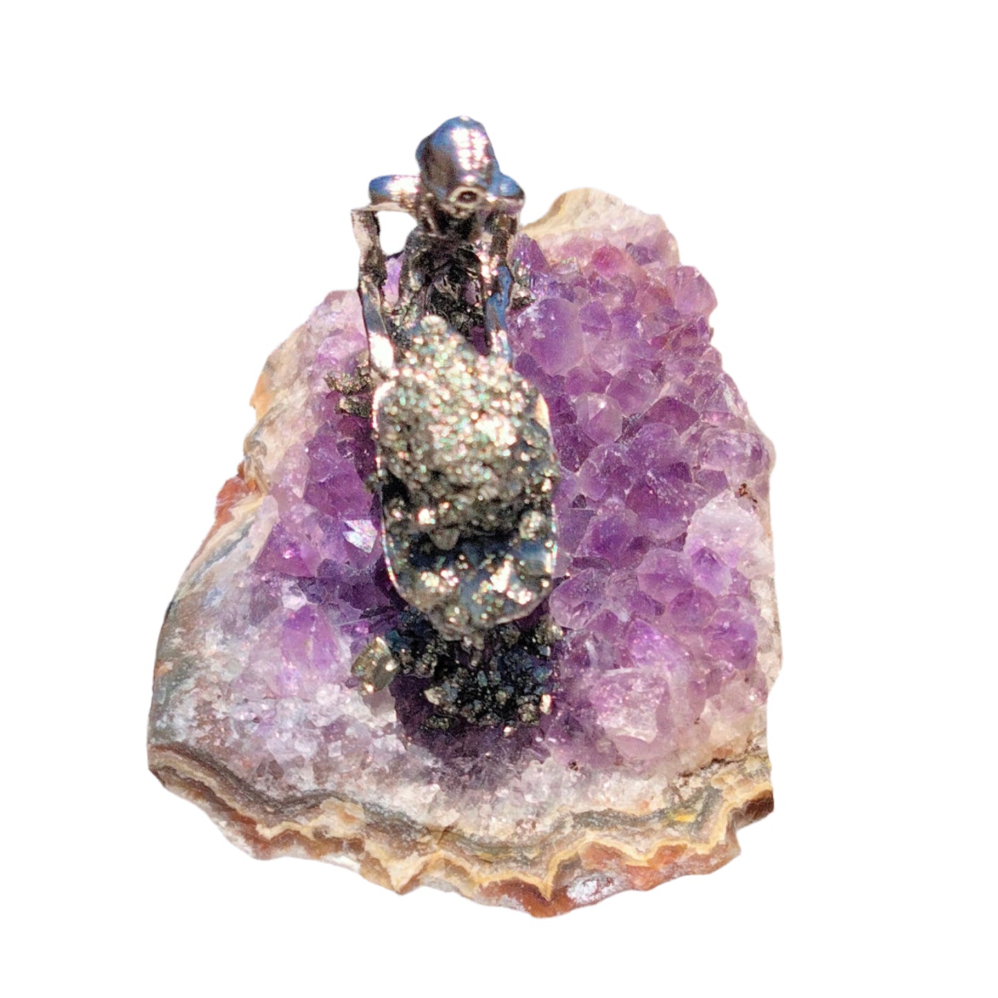 ✨ Limited Edition Treasure ✨ Amethyst & Pyrite Prospecting. Don't Miss Out!