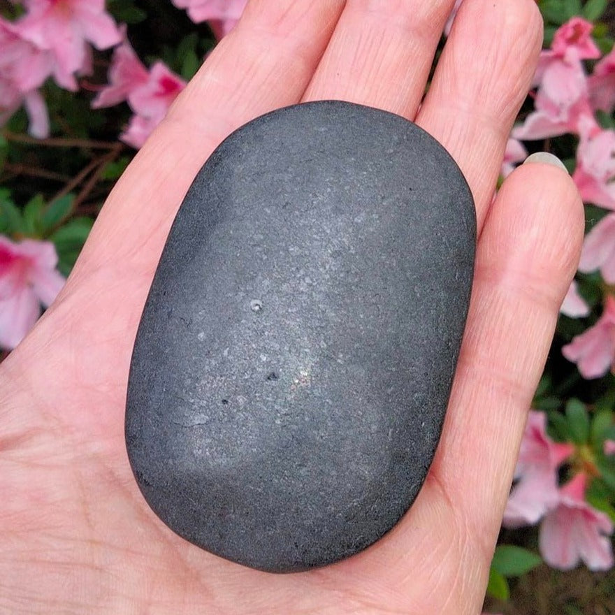 shungite palmstone