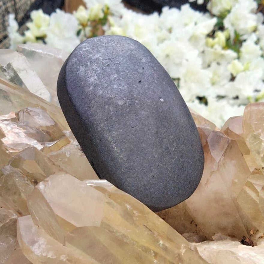 shungite palmstone