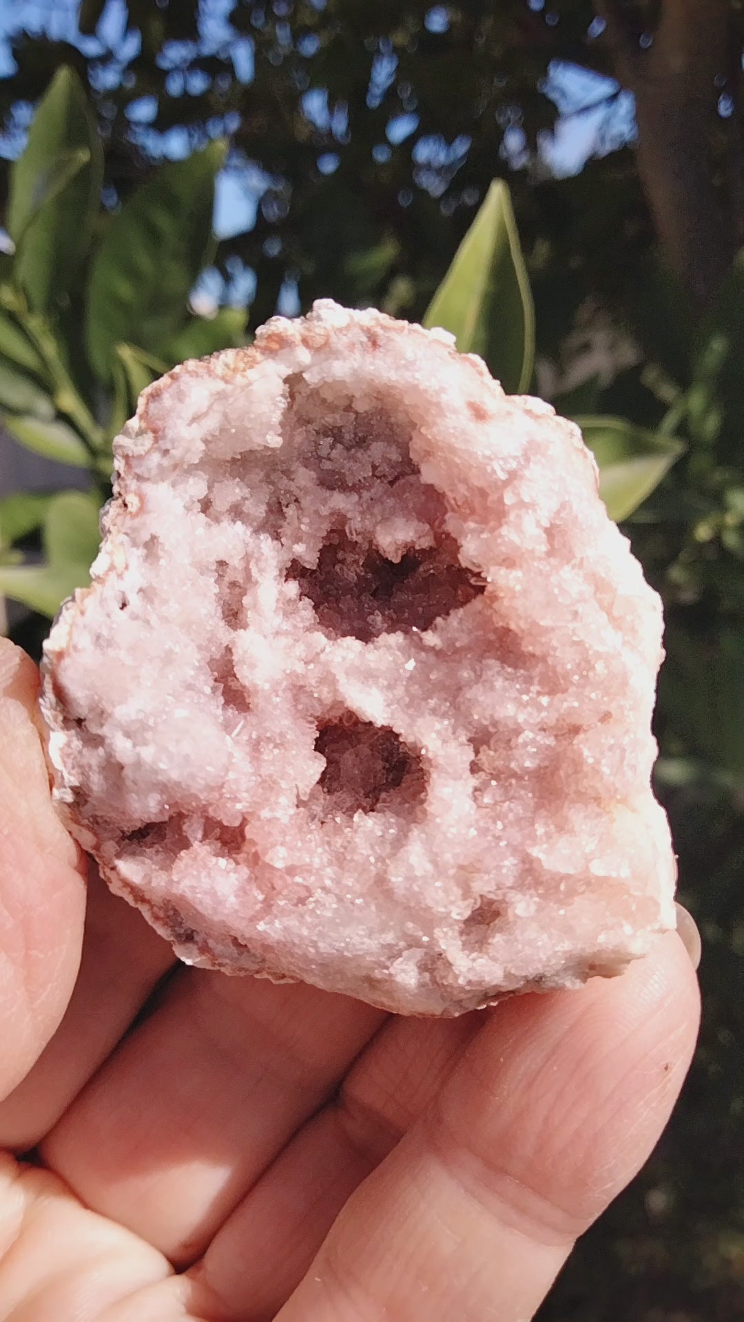 Pink Amethyst Geode