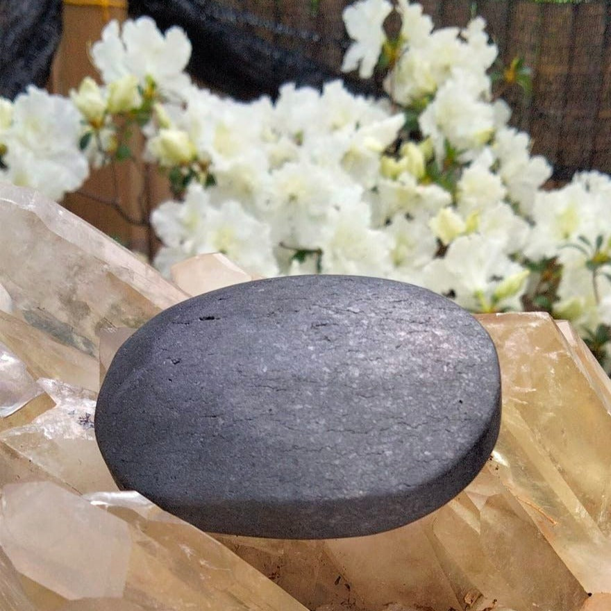 shungite palmstone