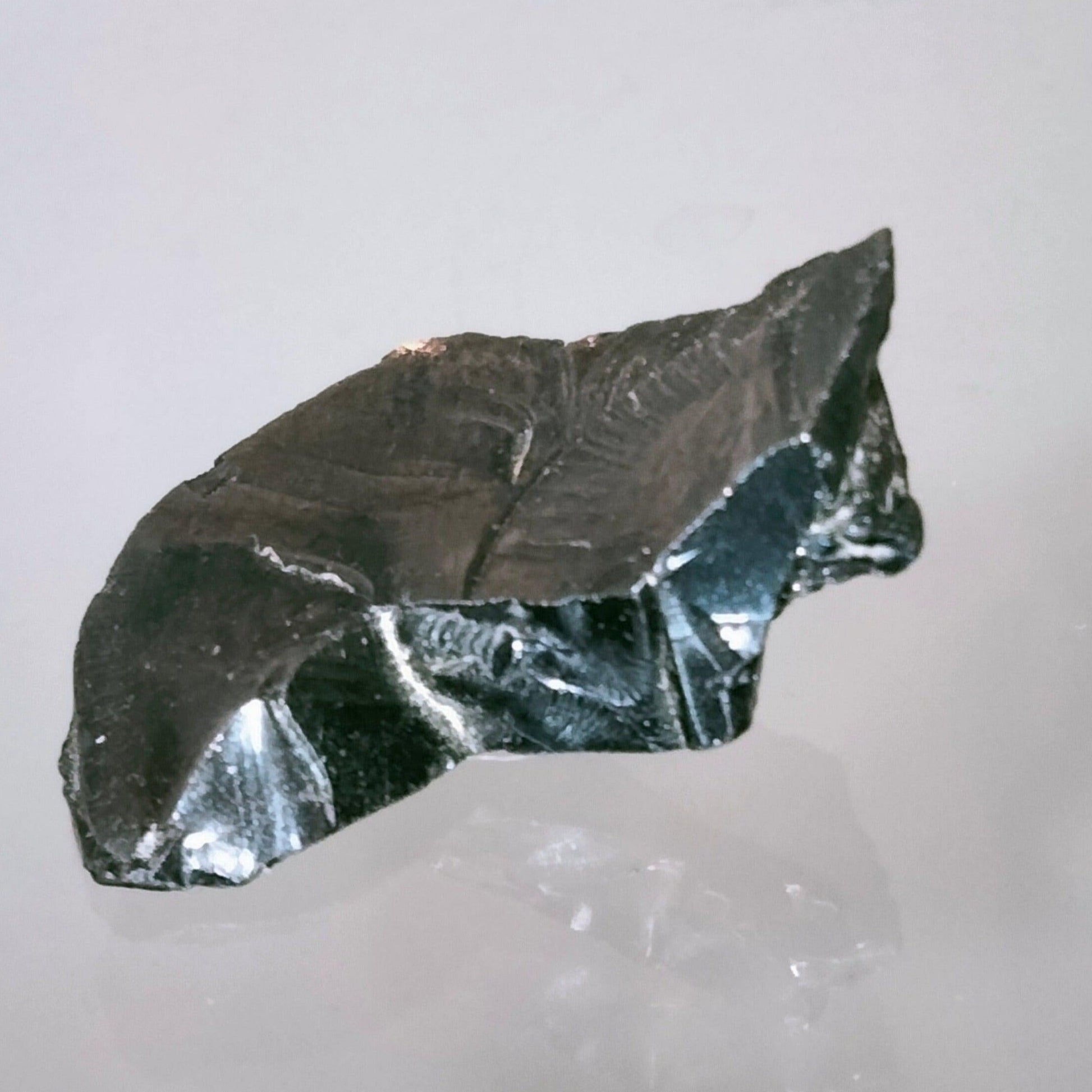 Elite Shungite stone