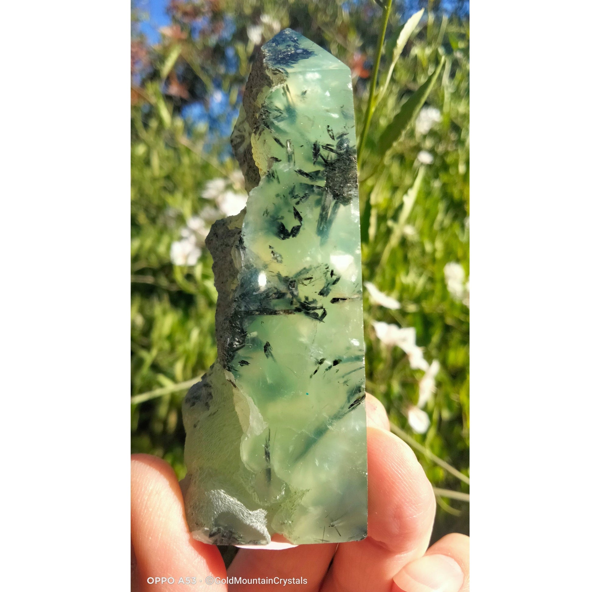 Prehnite with Schorl inclusions Specimen. (D) - Gold Mountain Crystals