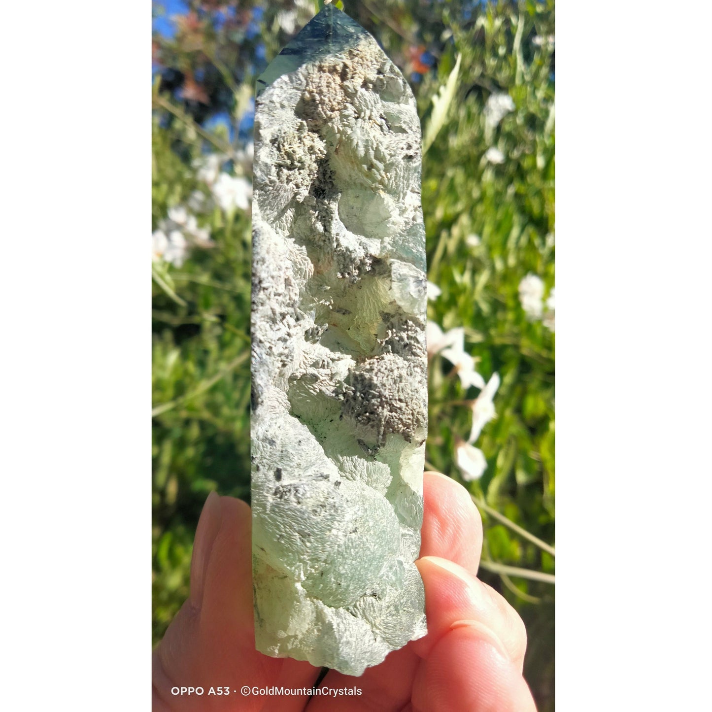 Prehnite with Schorl inclusions Specimen. (D) - Gold Mountain Crystals