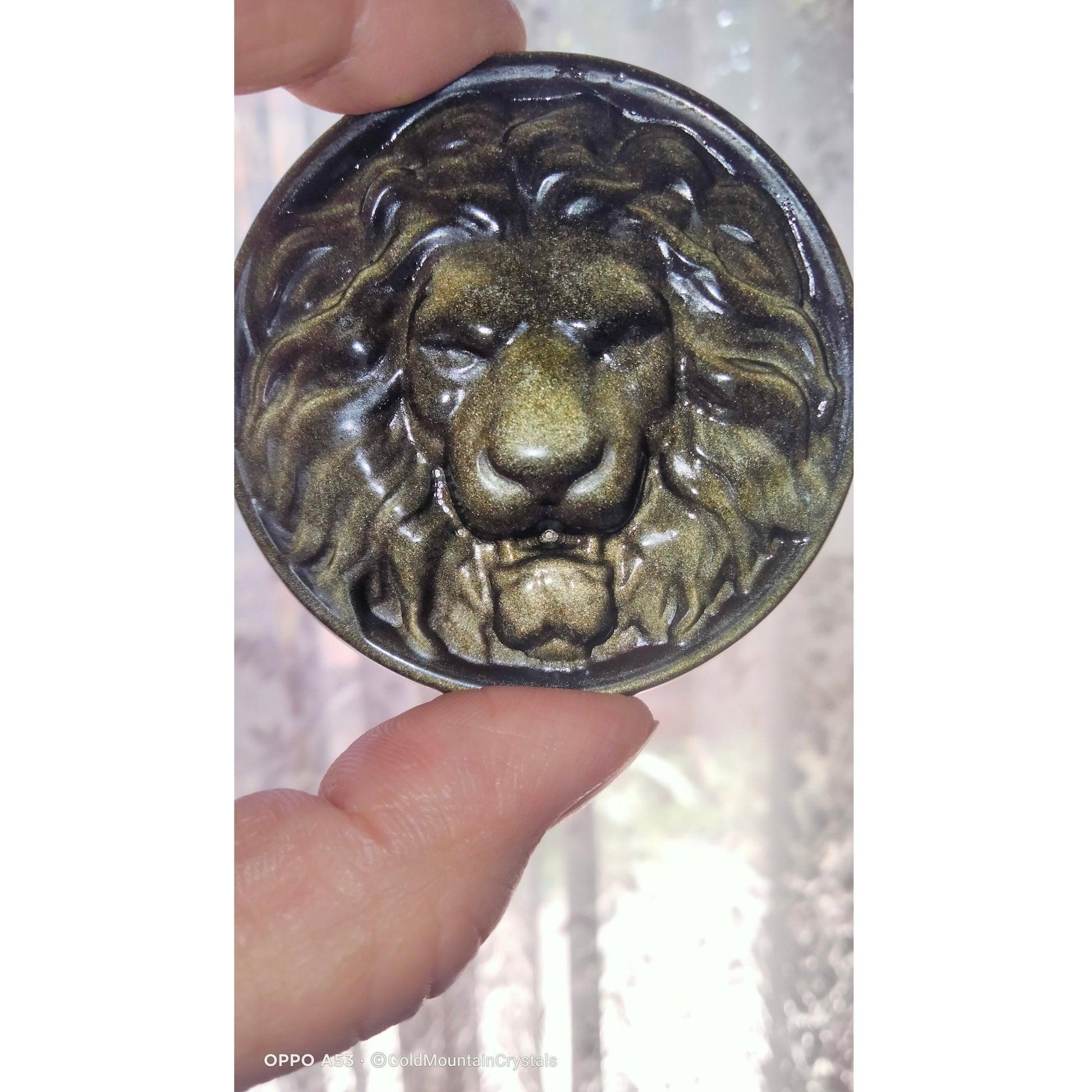 gold sheen obsidian lion carving disc and frame