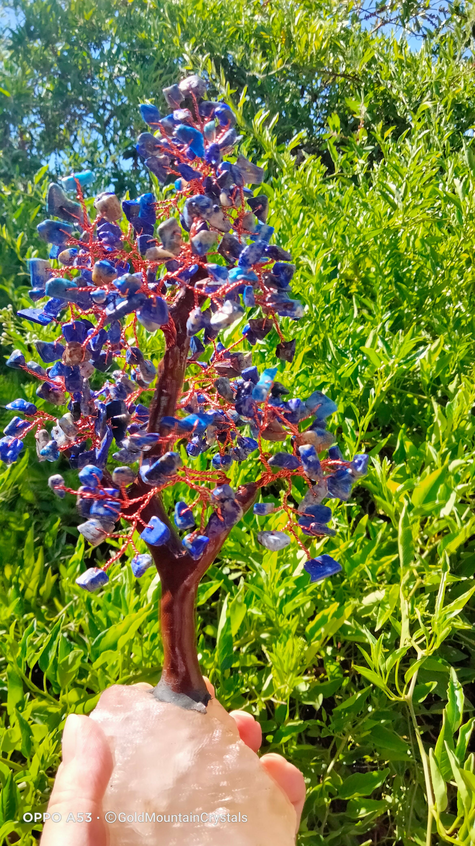 Lapis Lazuli Gem Tree with raw Quartz base - Gold Mountain Crystals