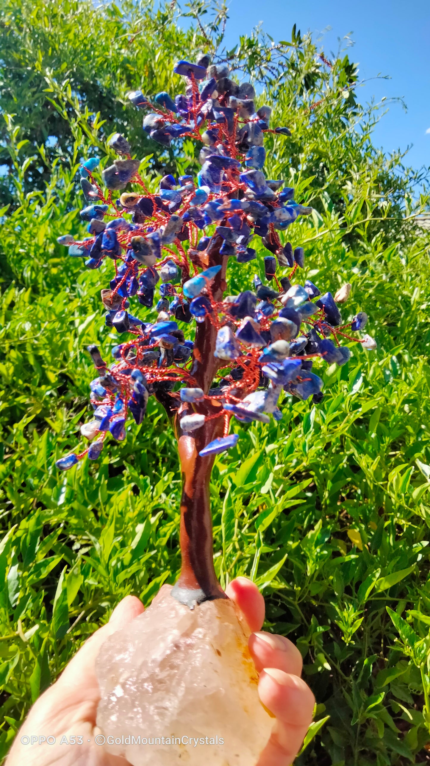 Lapis Lazuli Gem Tree with raw Quartz base - Gold Mountain Crystals