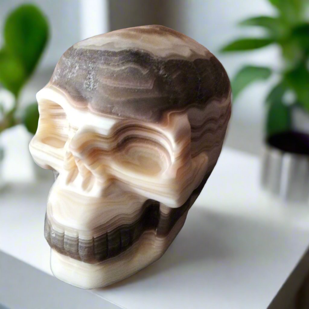 chocolate calcite large skull