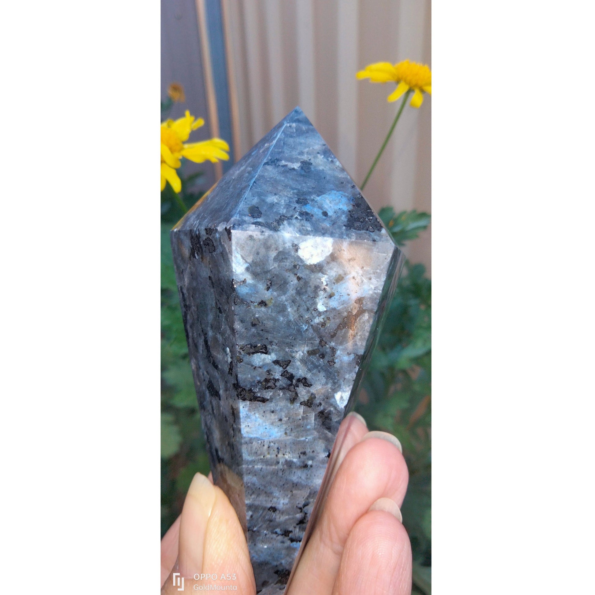 Last One Available Large Larvikite Pendulum Point with blue feldspar Flash. - Gold Mountain Crystals